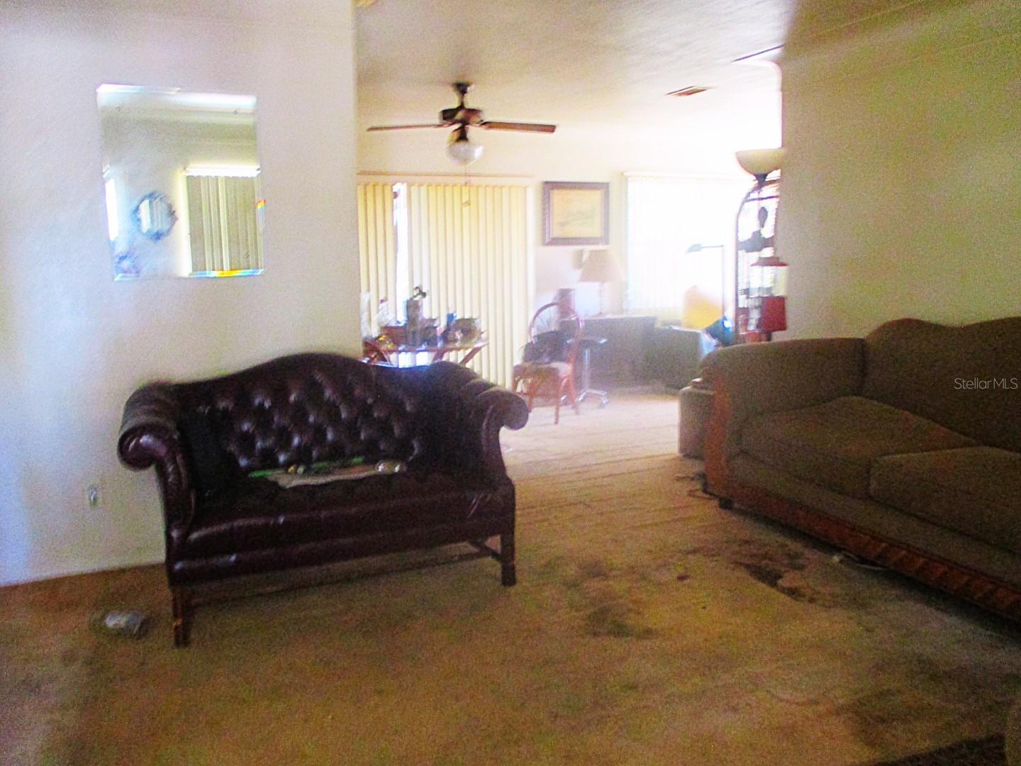 Photo #5