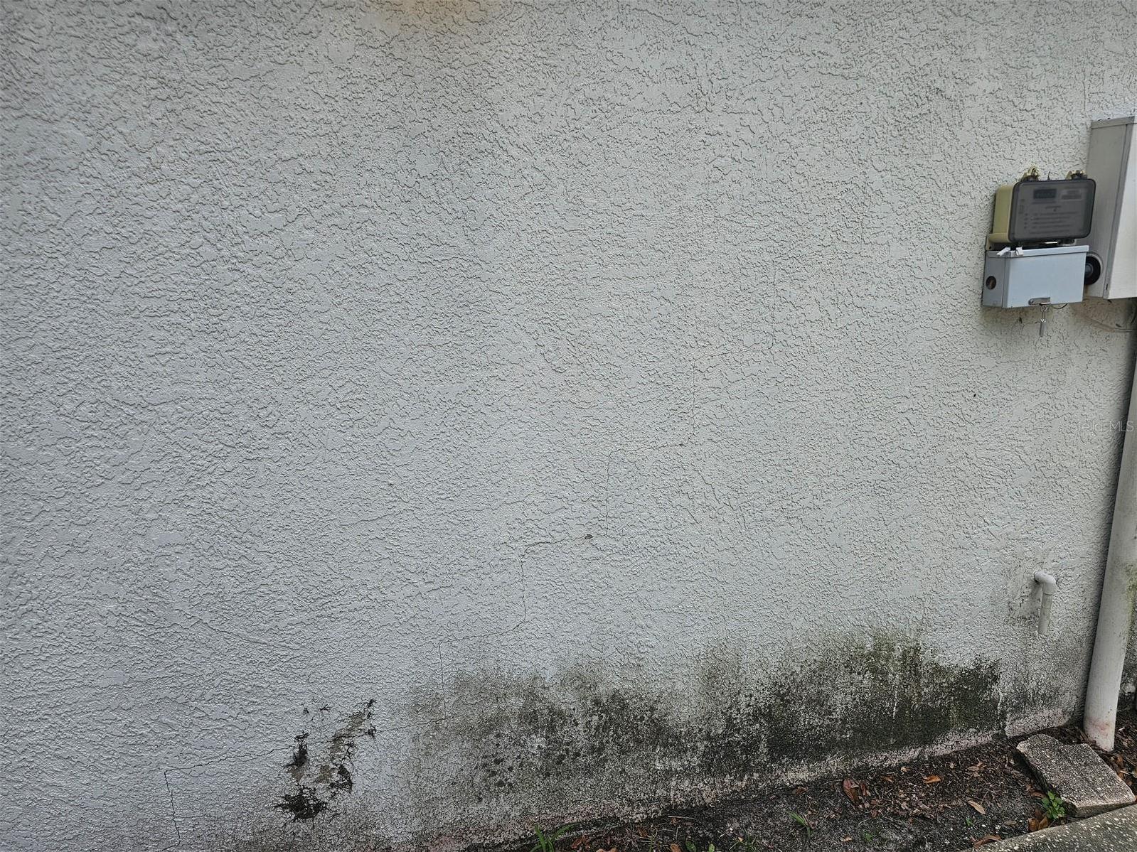 Photo #7