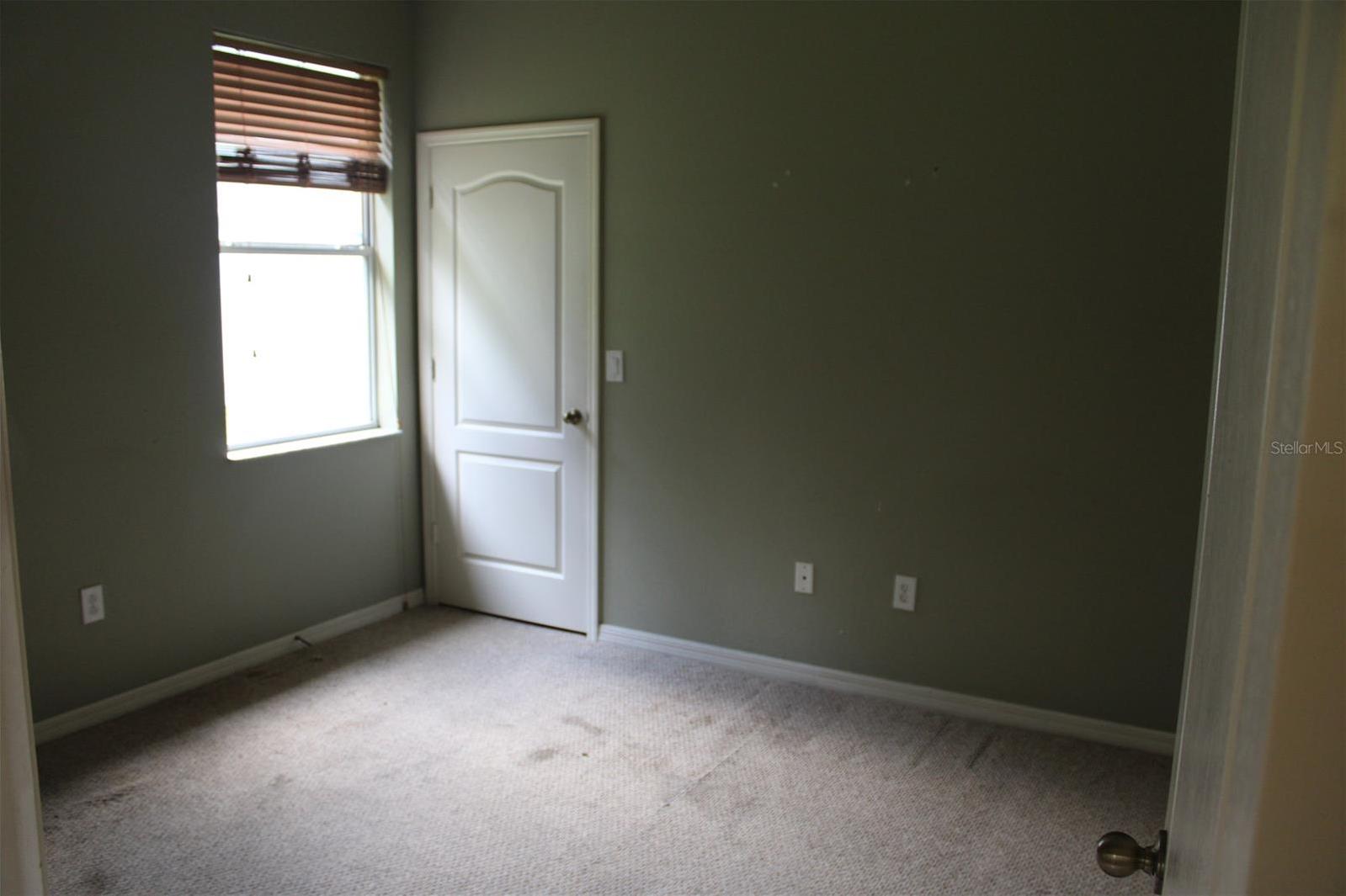 Photo #11
