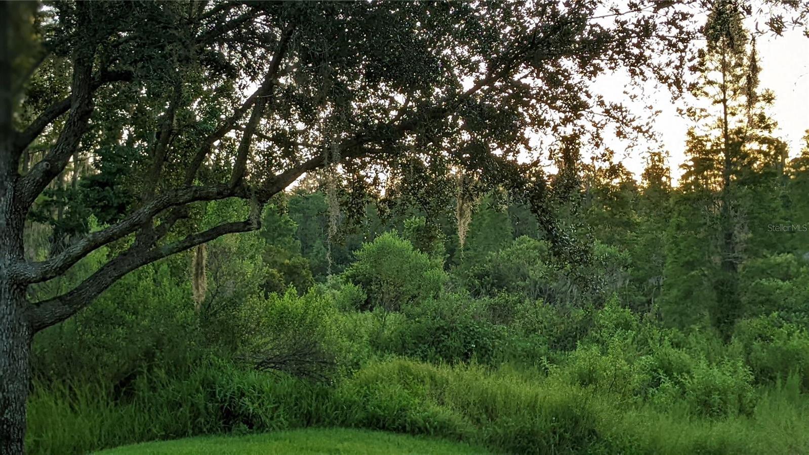 Photo #5