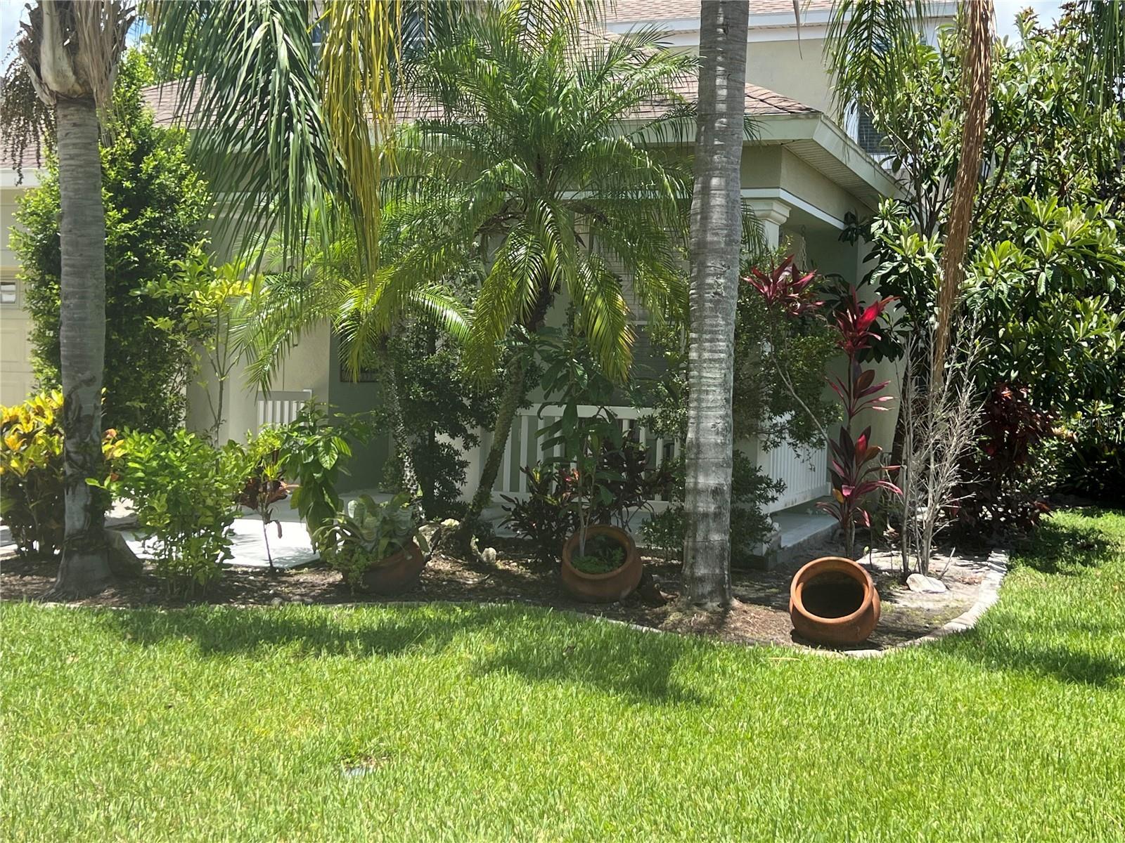 Photo #38