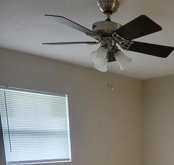 Photo #8