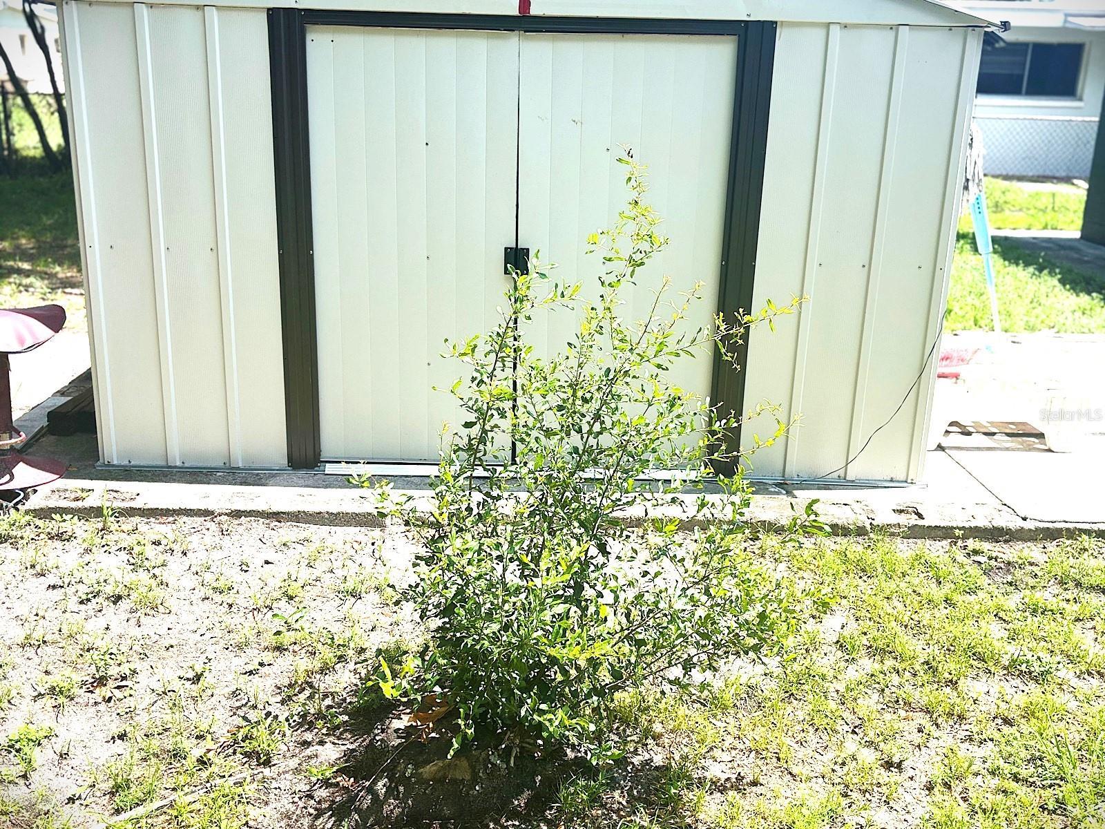 Photo #14