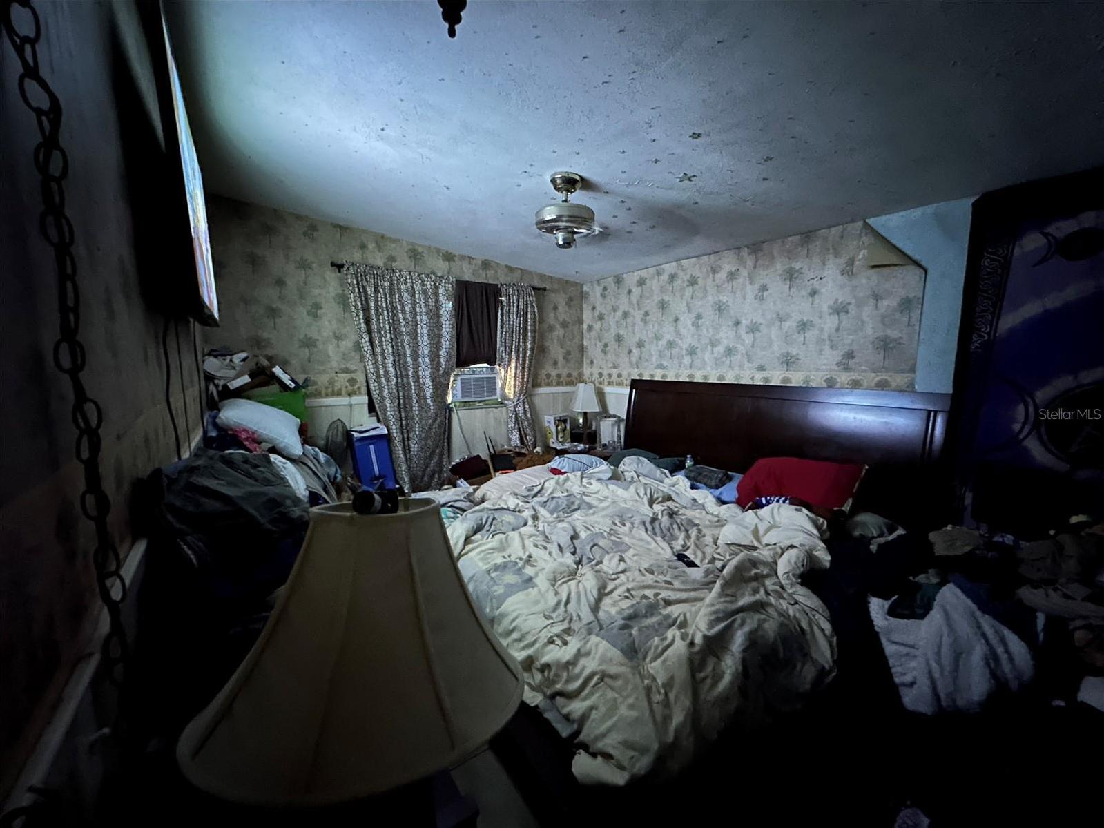 Photo #13
