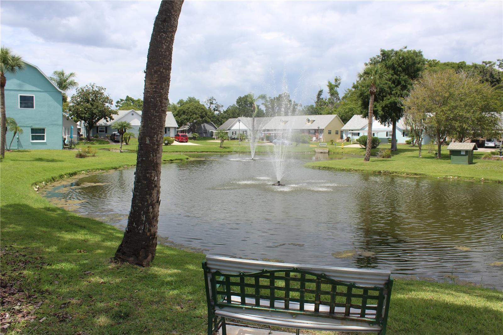 Photo #24