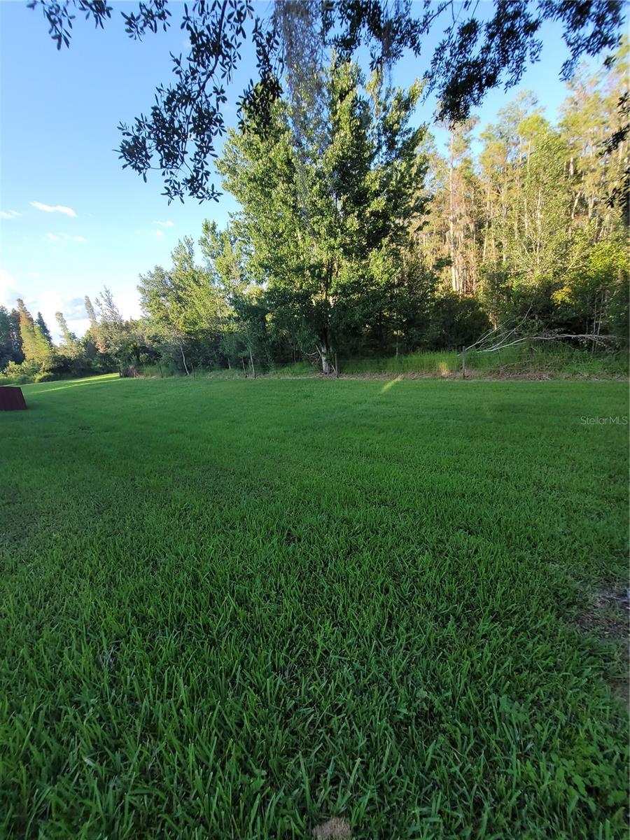 Photo #24