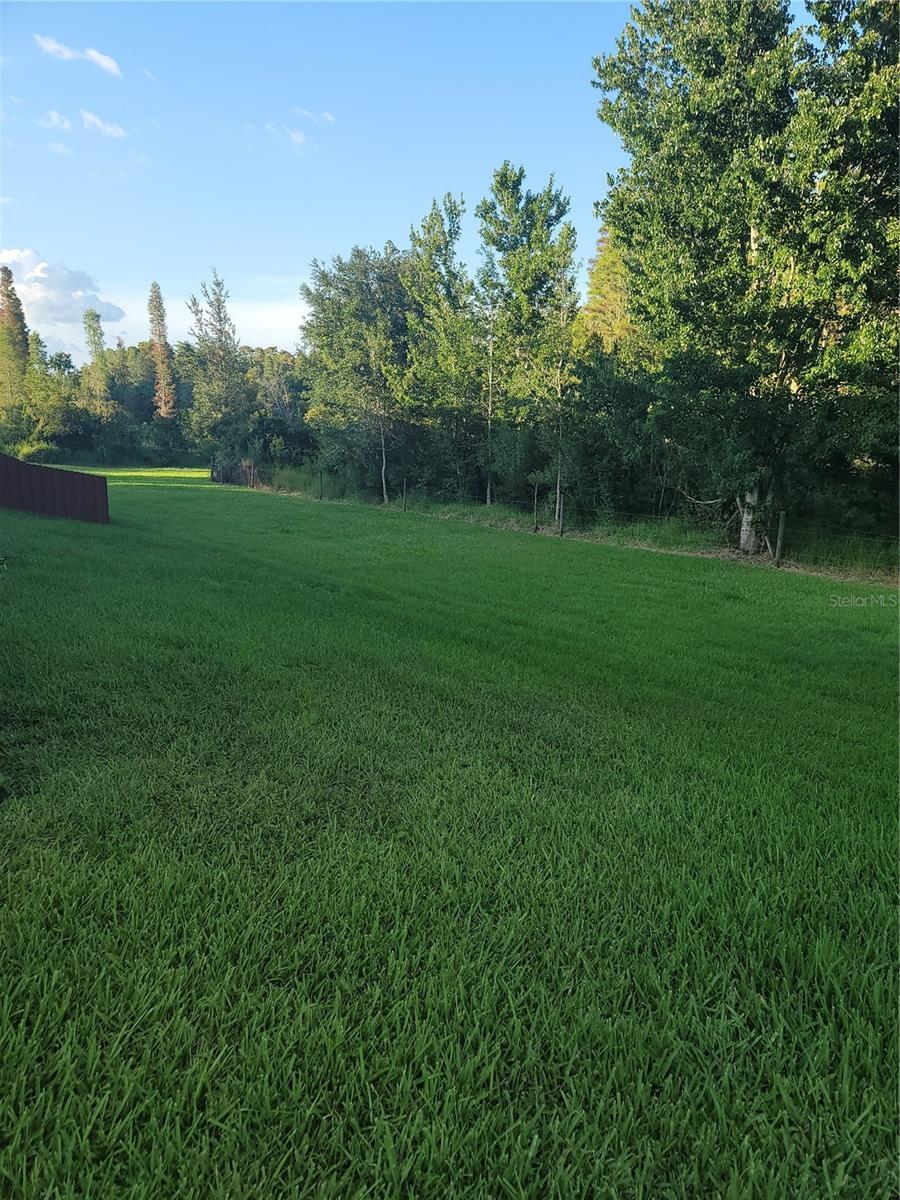 Photo #61