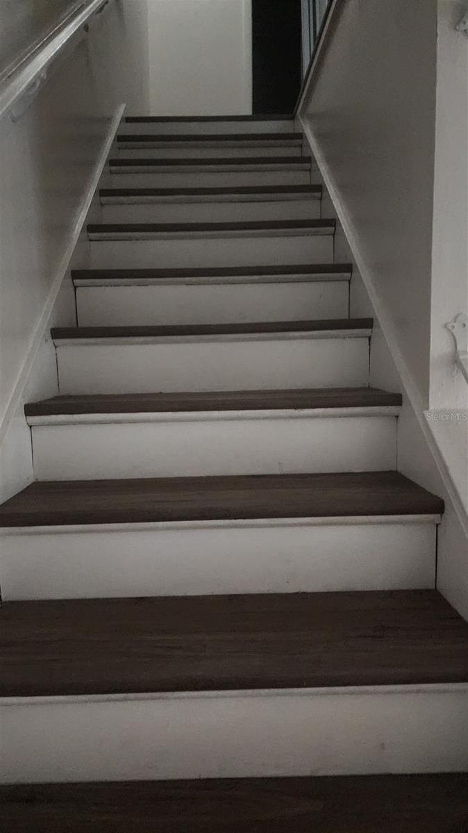 Photo #8