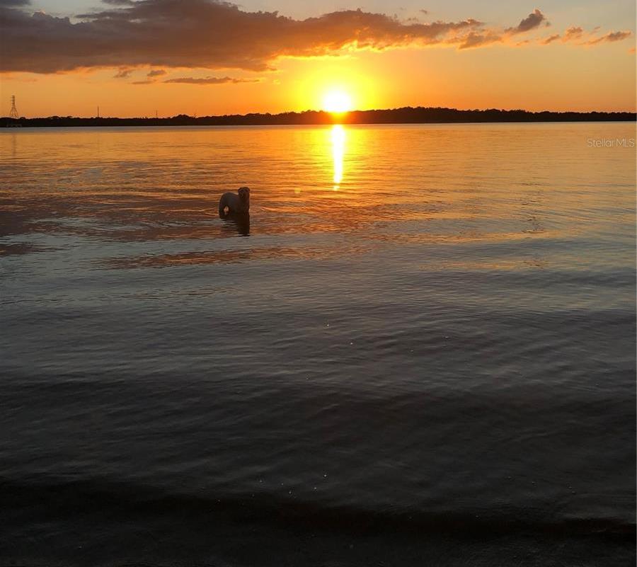 Photo #26