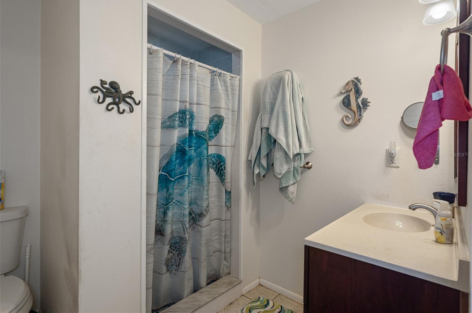 Photo #16