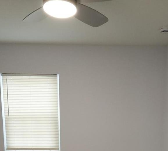 Photo #17