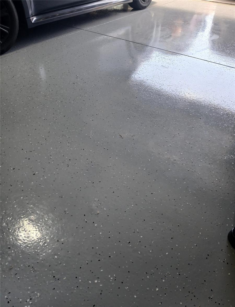 Photo #37