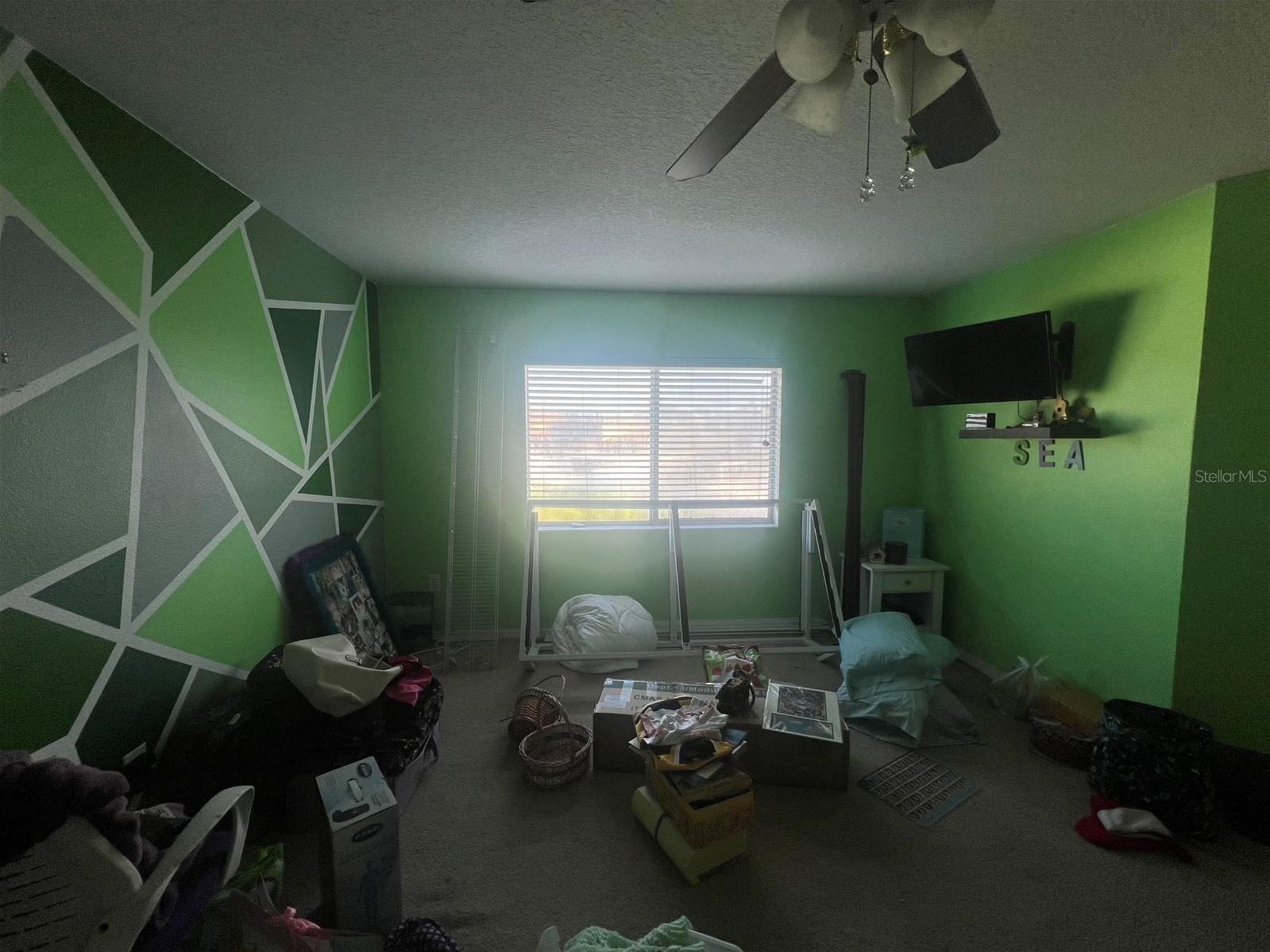 Photo #46