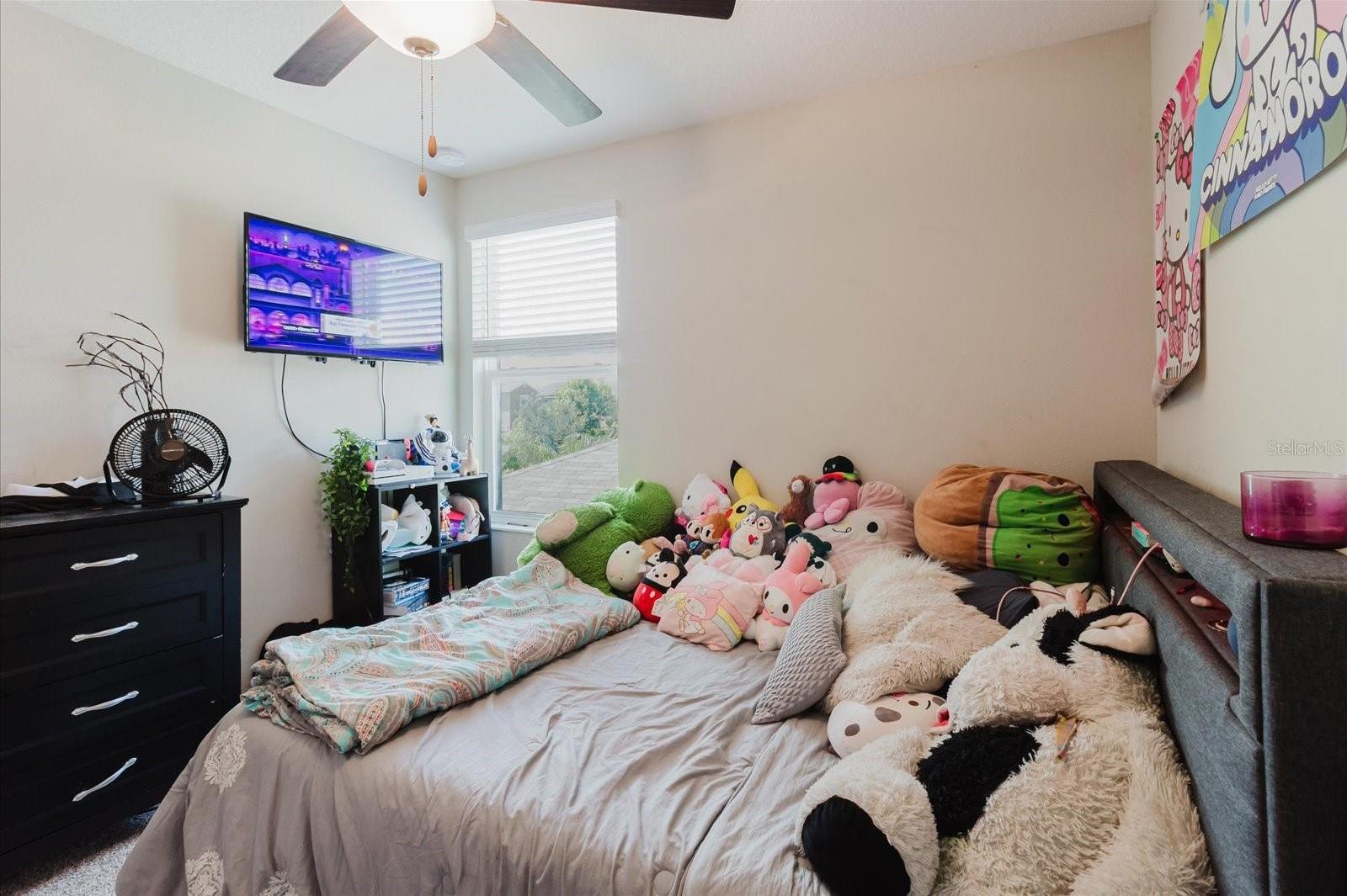 Photo #33