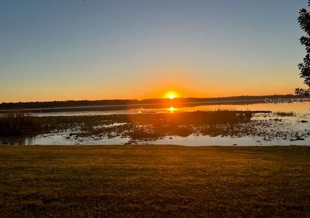 Photo #41