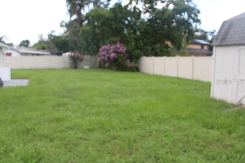 Photo #39