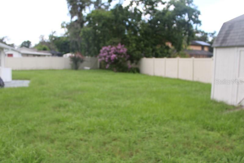 Photo #38