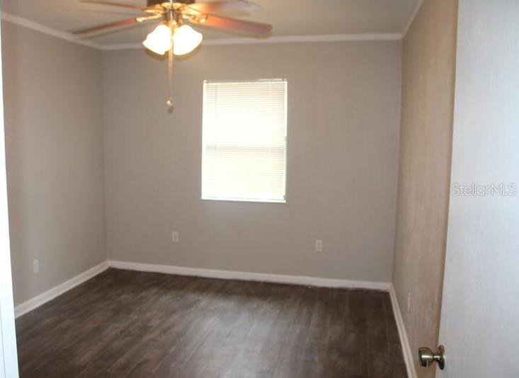 Photo #14