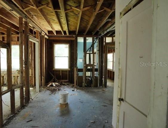 Photo #49