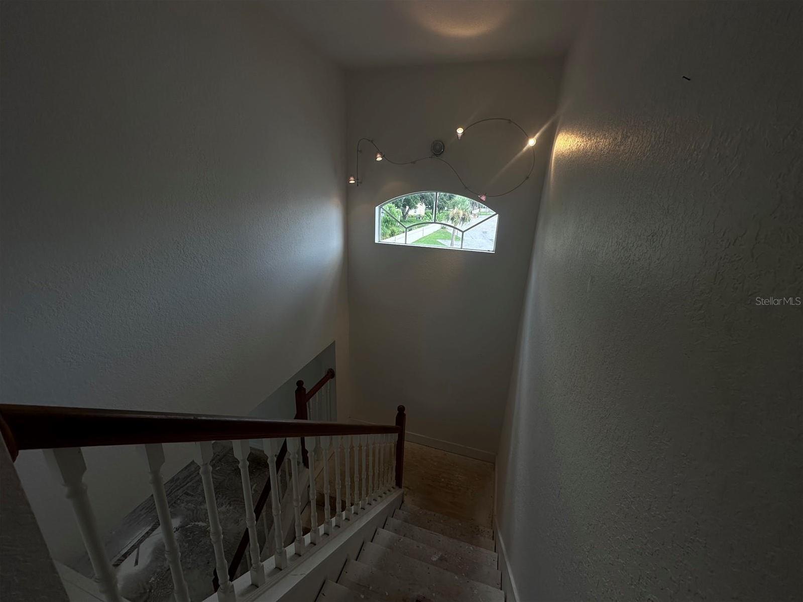 Photo #5