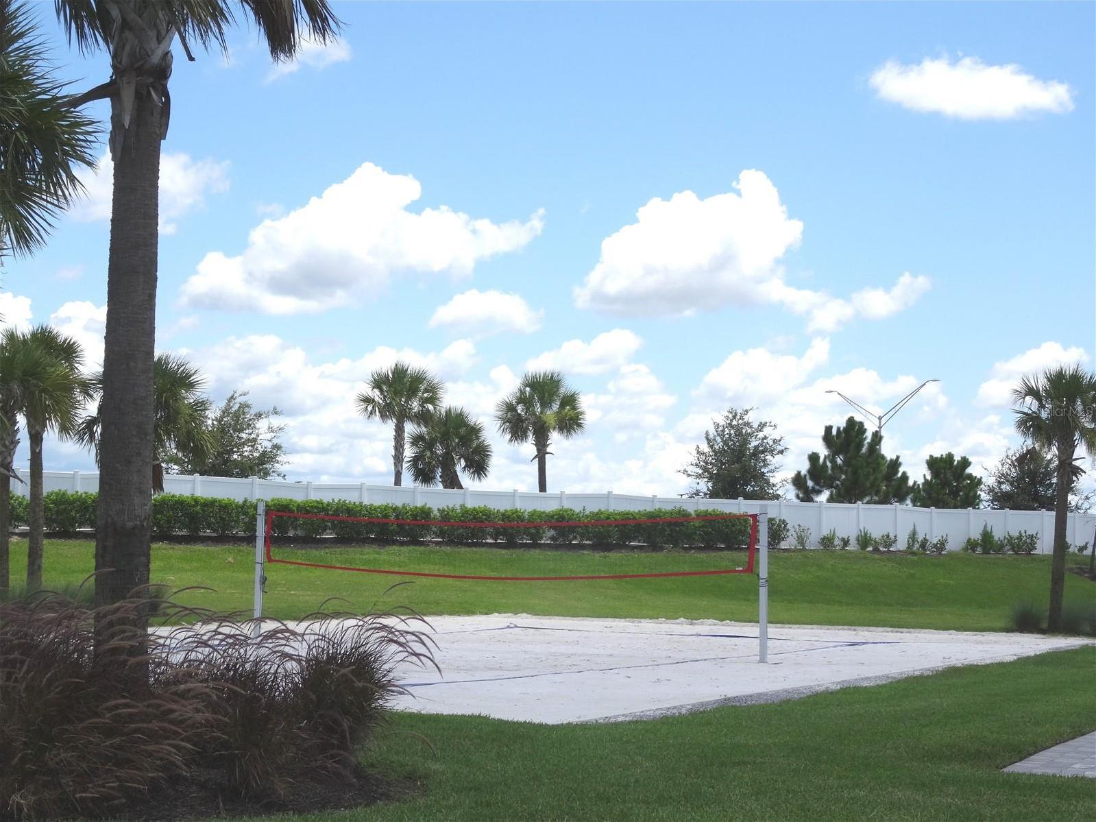 Photo #39
