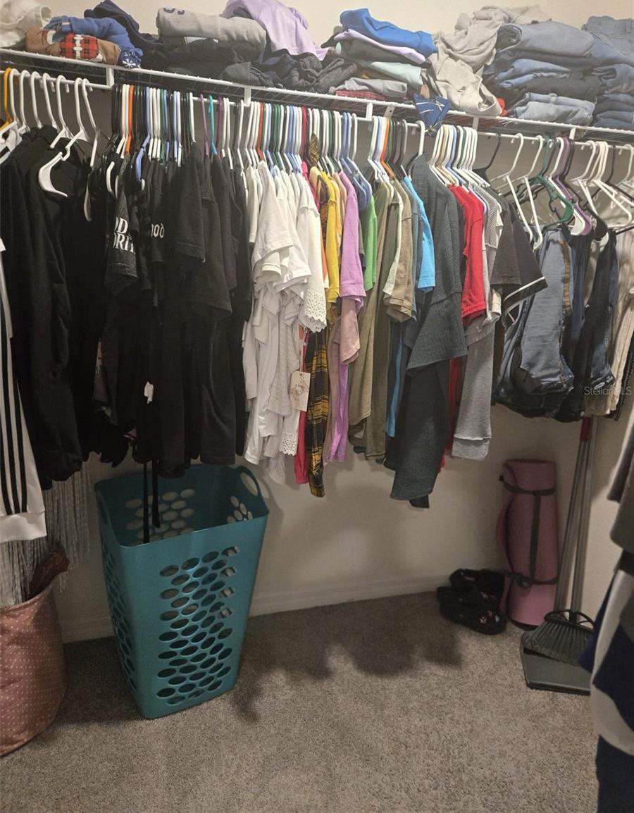 Photo #15