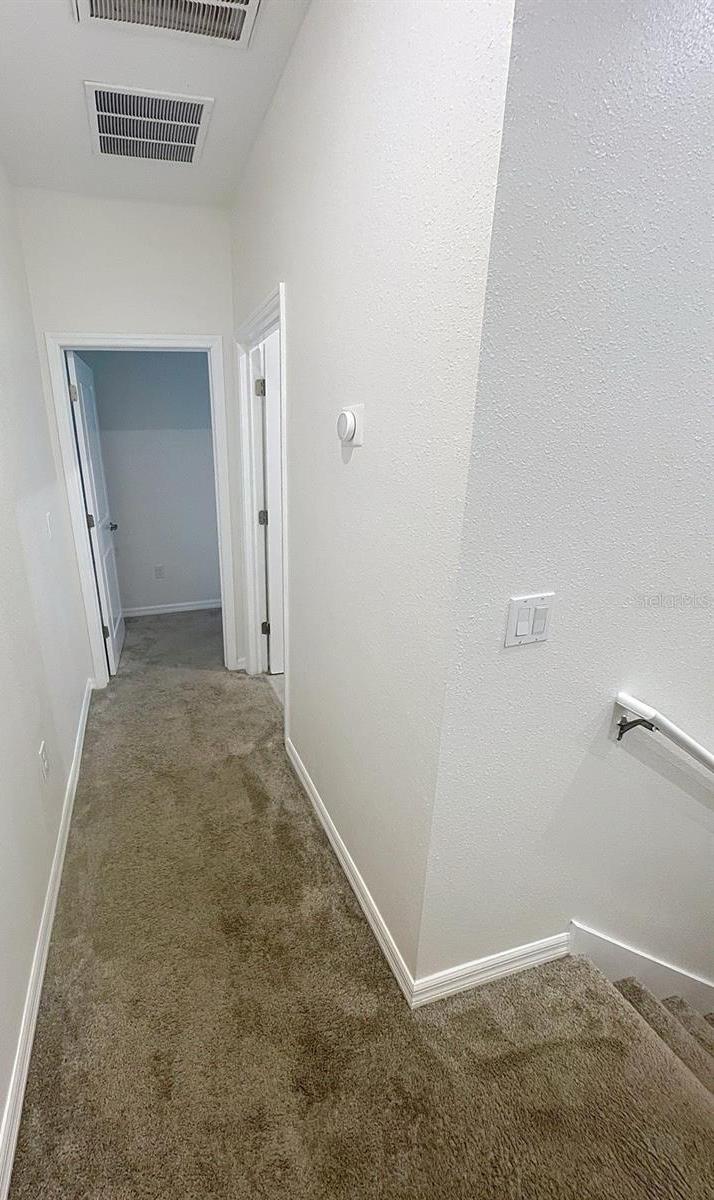 Photo #29