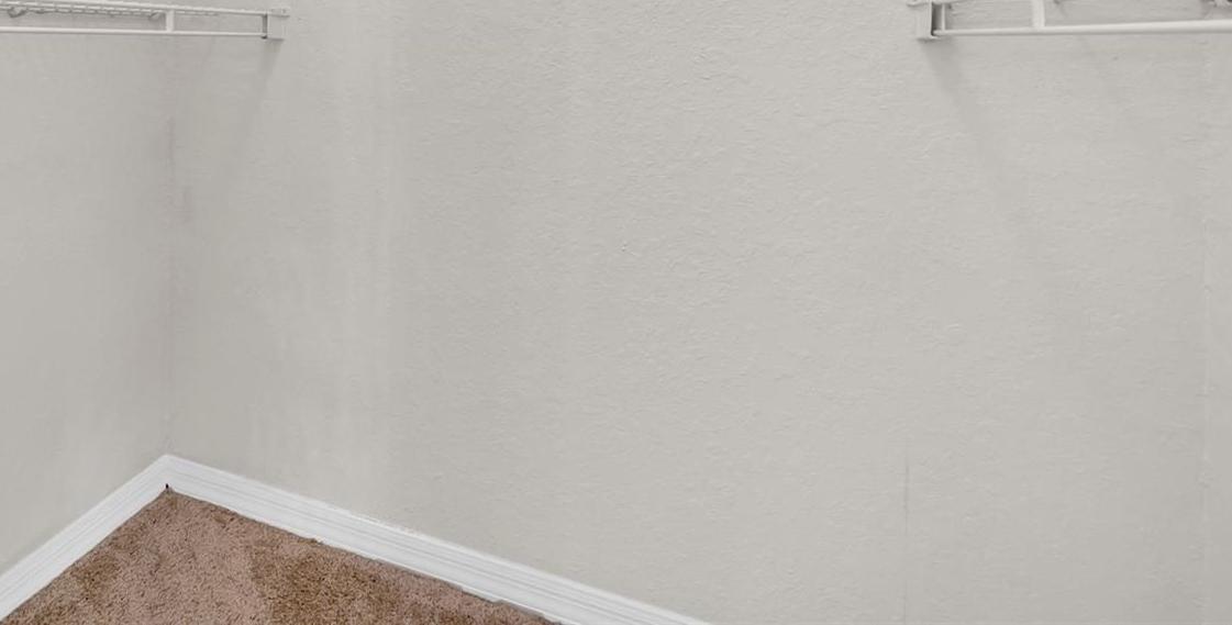Photo #17