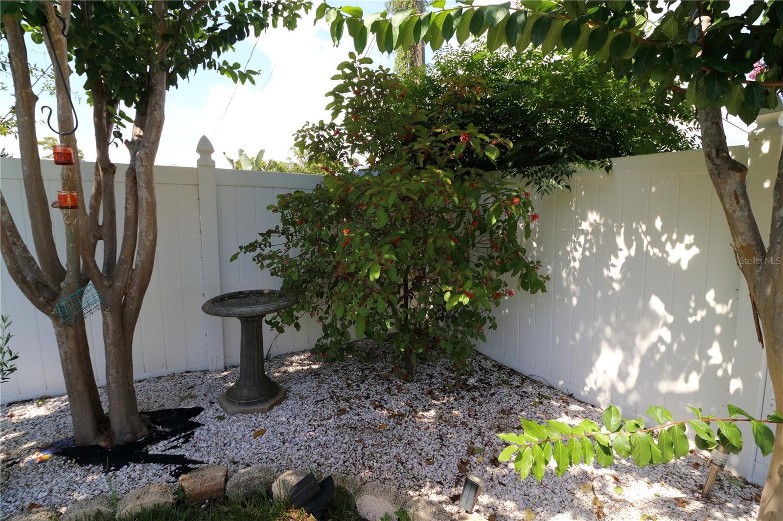 Photo #27