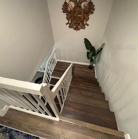 Photo #36