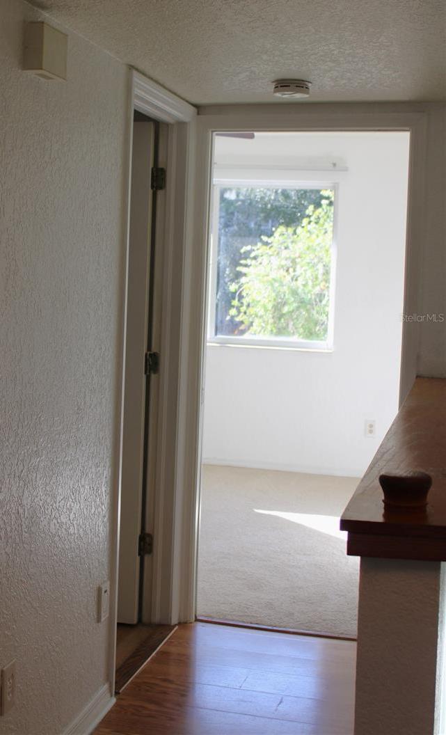 Photo #23