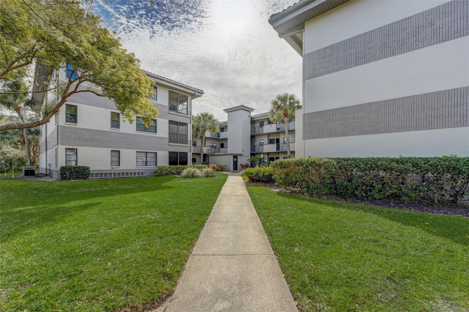 Photo one of 2650 Countryside Blvd # A210 Clearwater FL 33761 | MLS U8227800