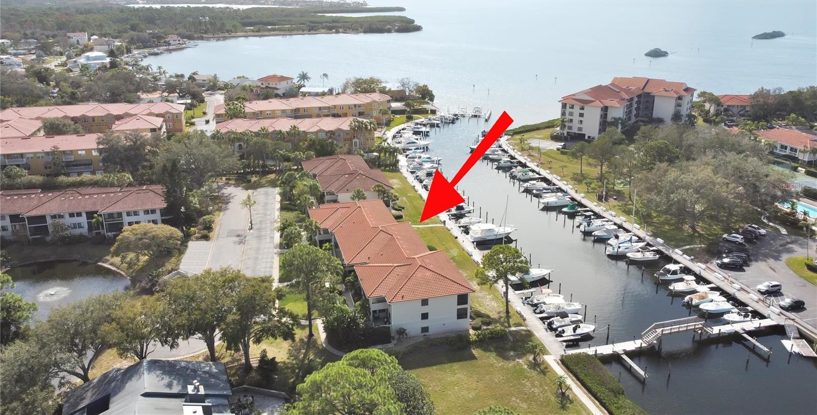 Photo one of 1802 Mariner Dr # 24 Tarpon Springs FL 34689 | MLS U8228373