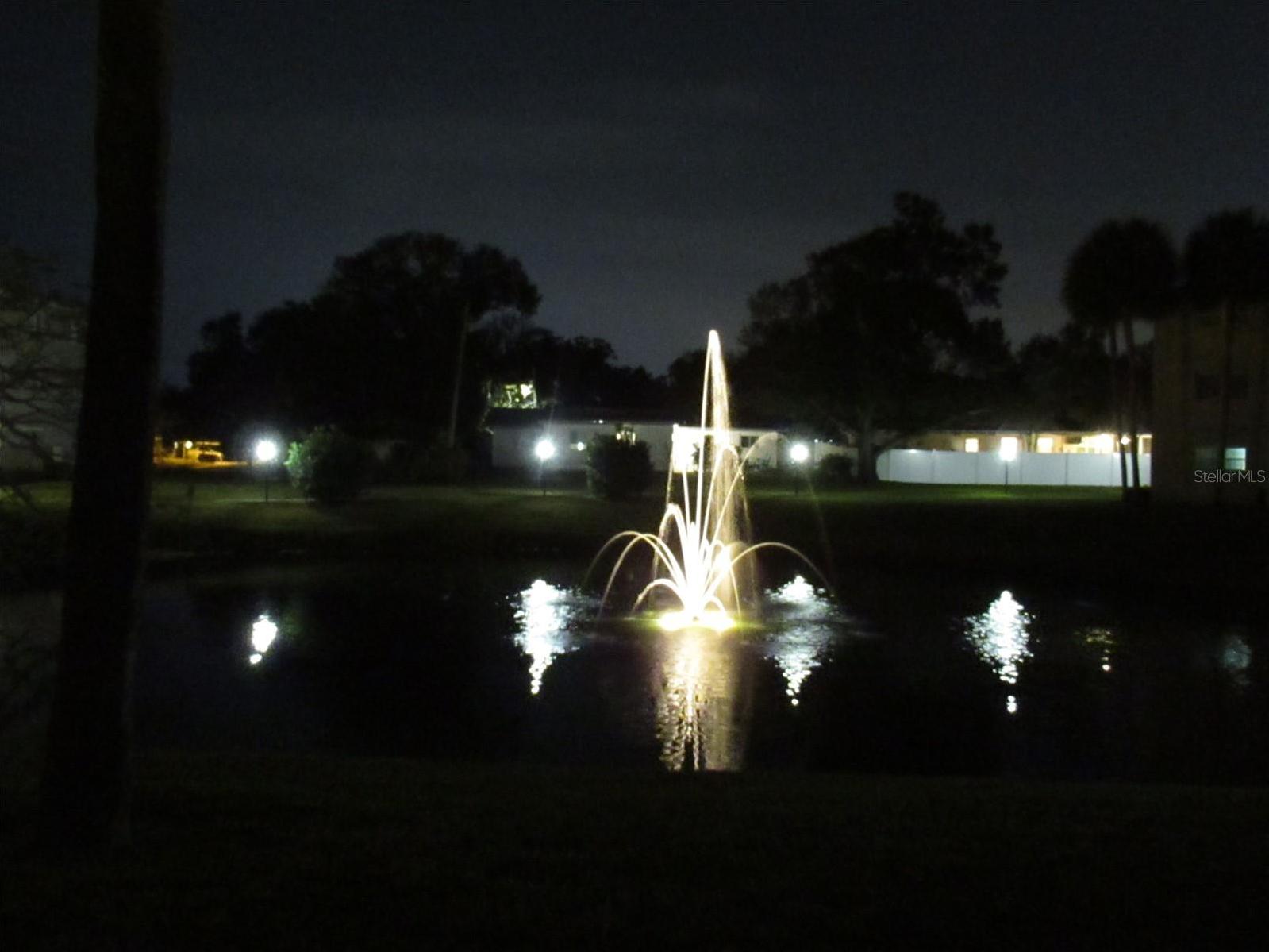 Photo #41