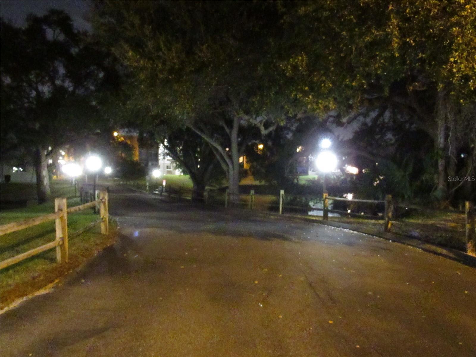 Photo #39