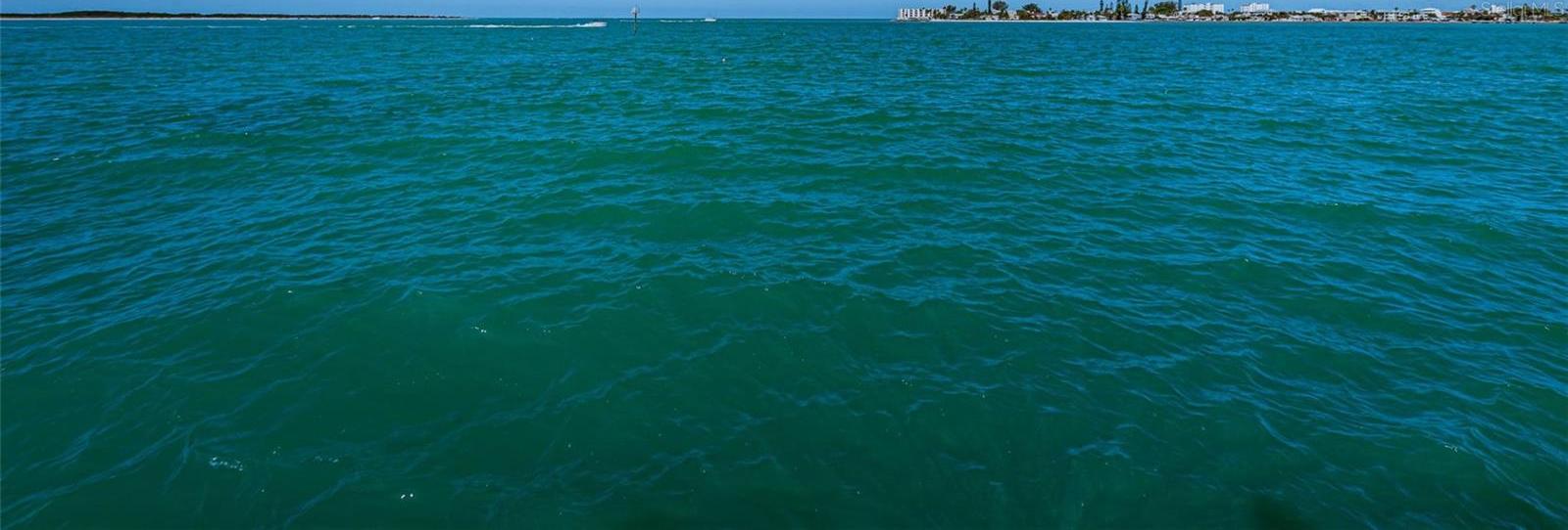 Photo #96