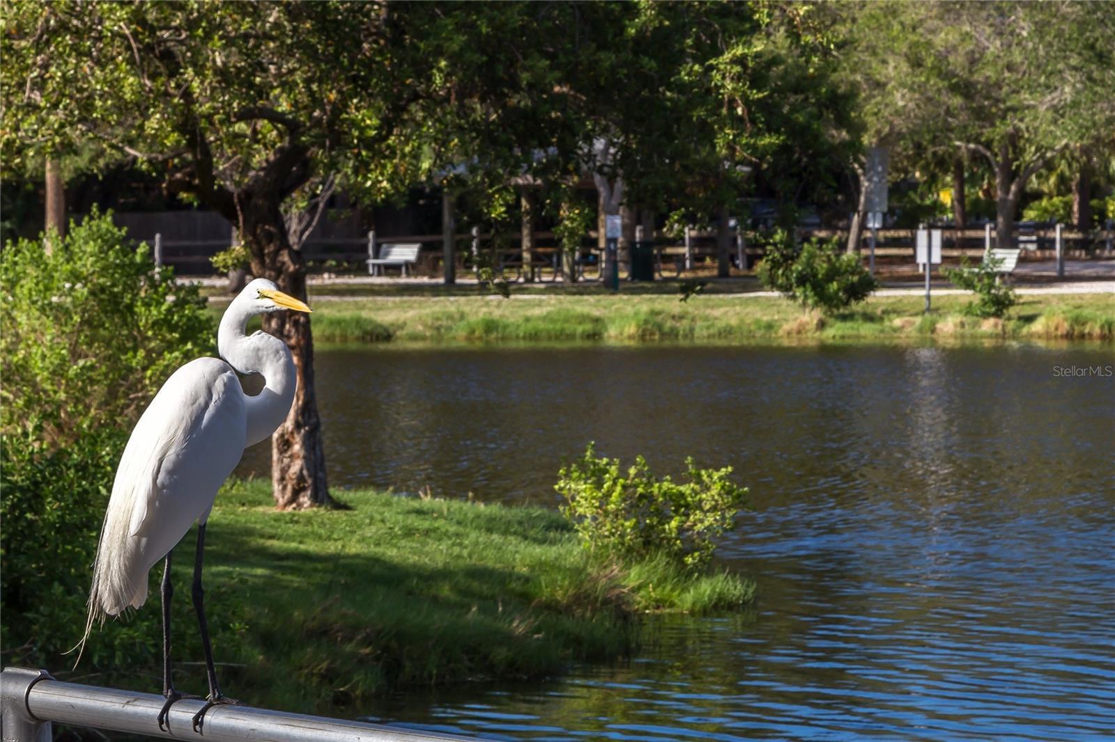 Photo #61