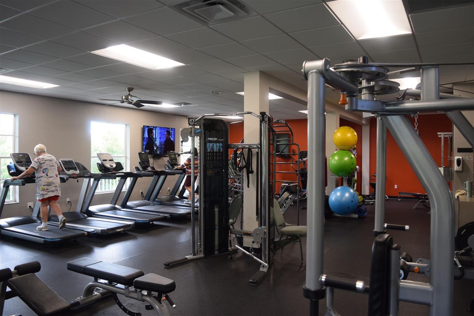 Photo #49