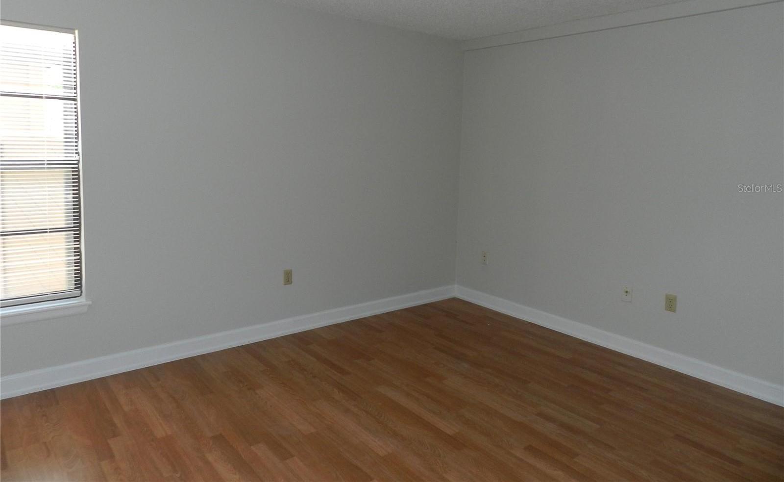 Photo #15
