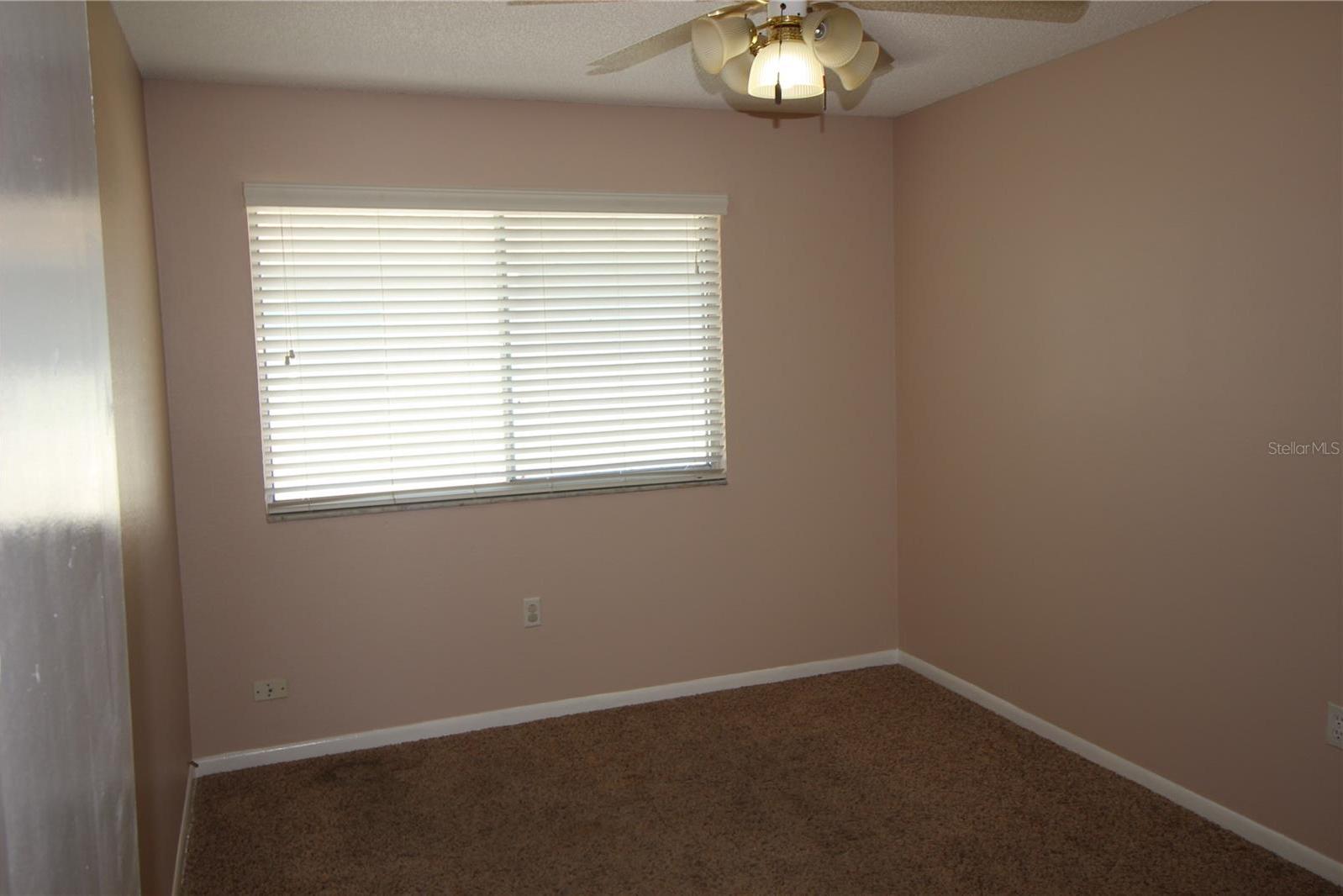 Photo #4