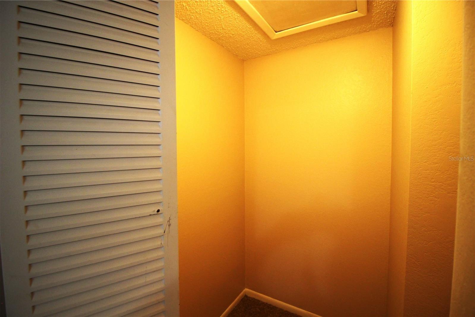 Photo #11