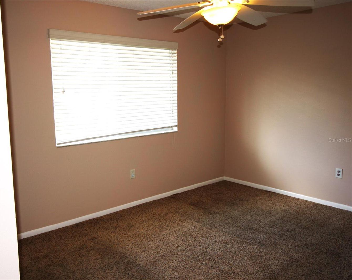 Photo #5