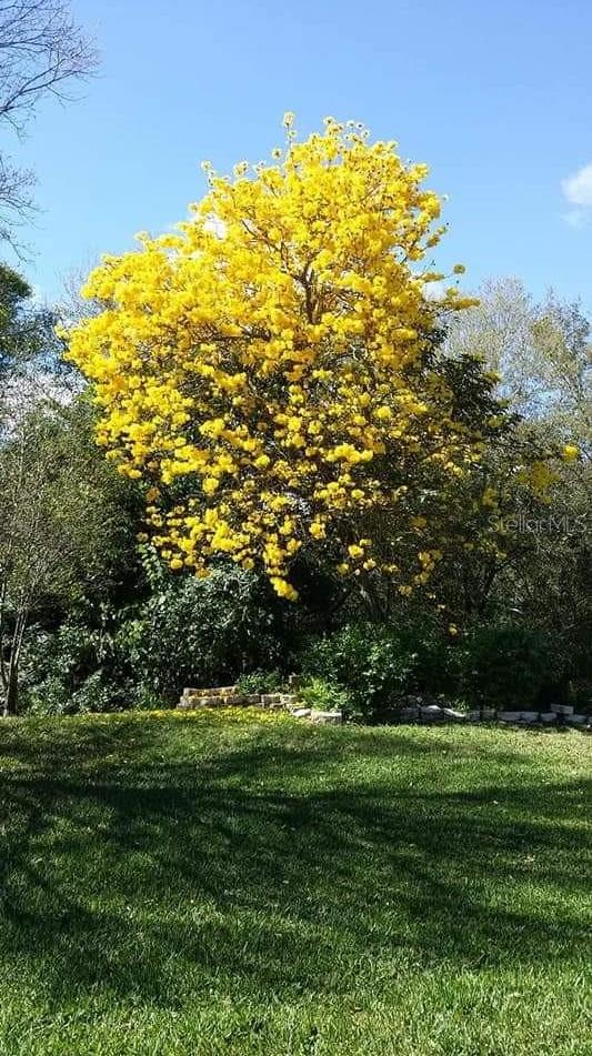 Photo #30