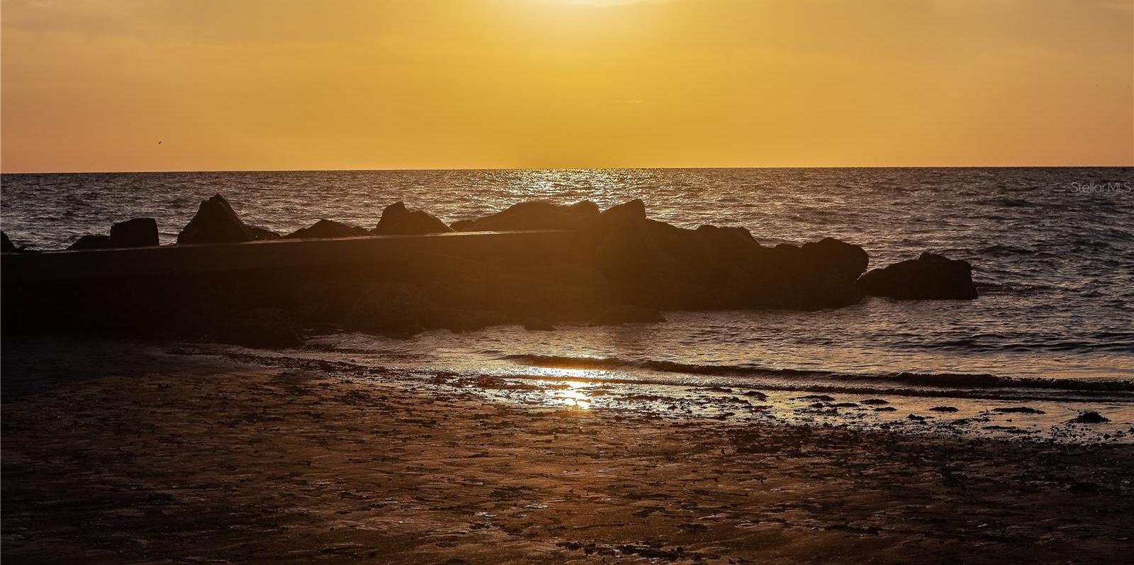 Photo #63