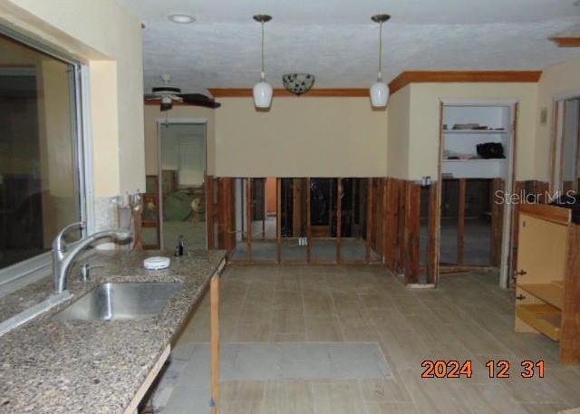 Photo #51
