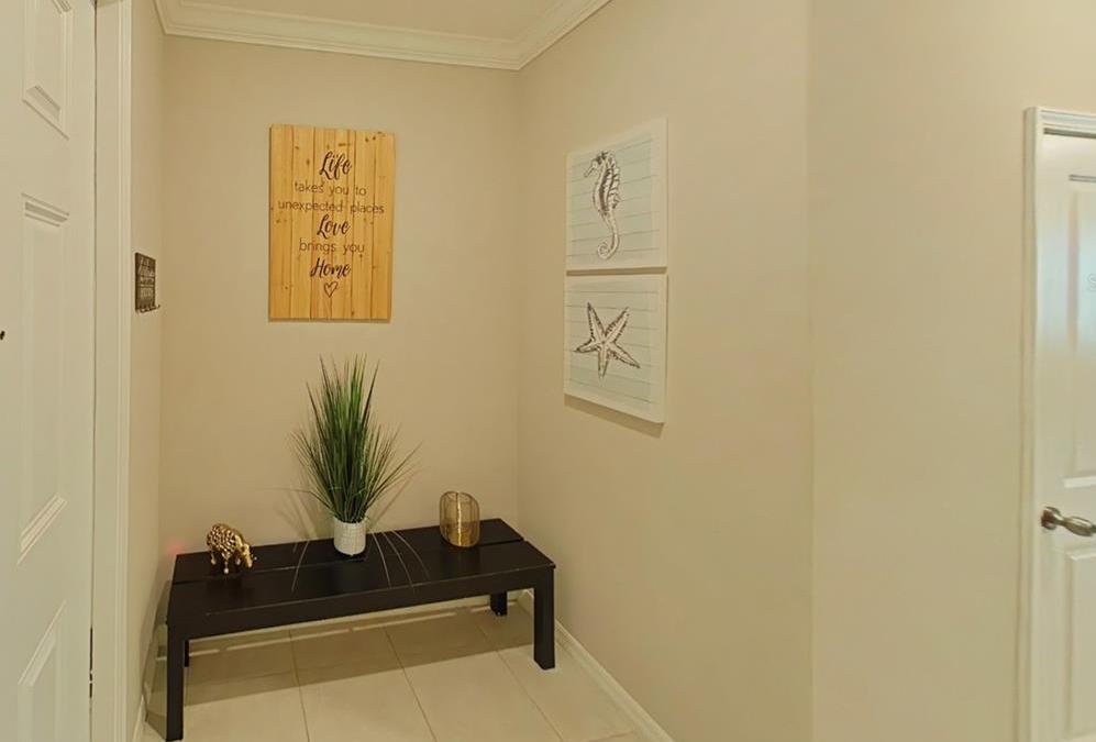 Photo #11