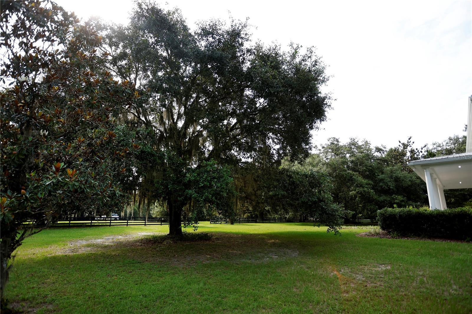 Photo #6