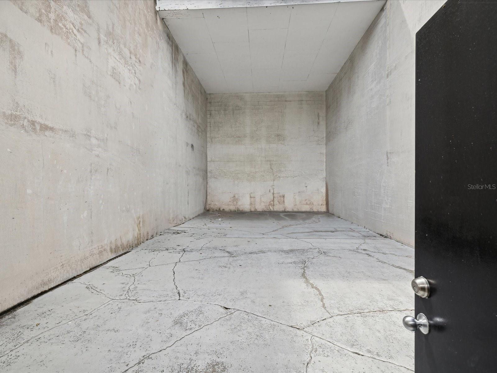 Photo #51