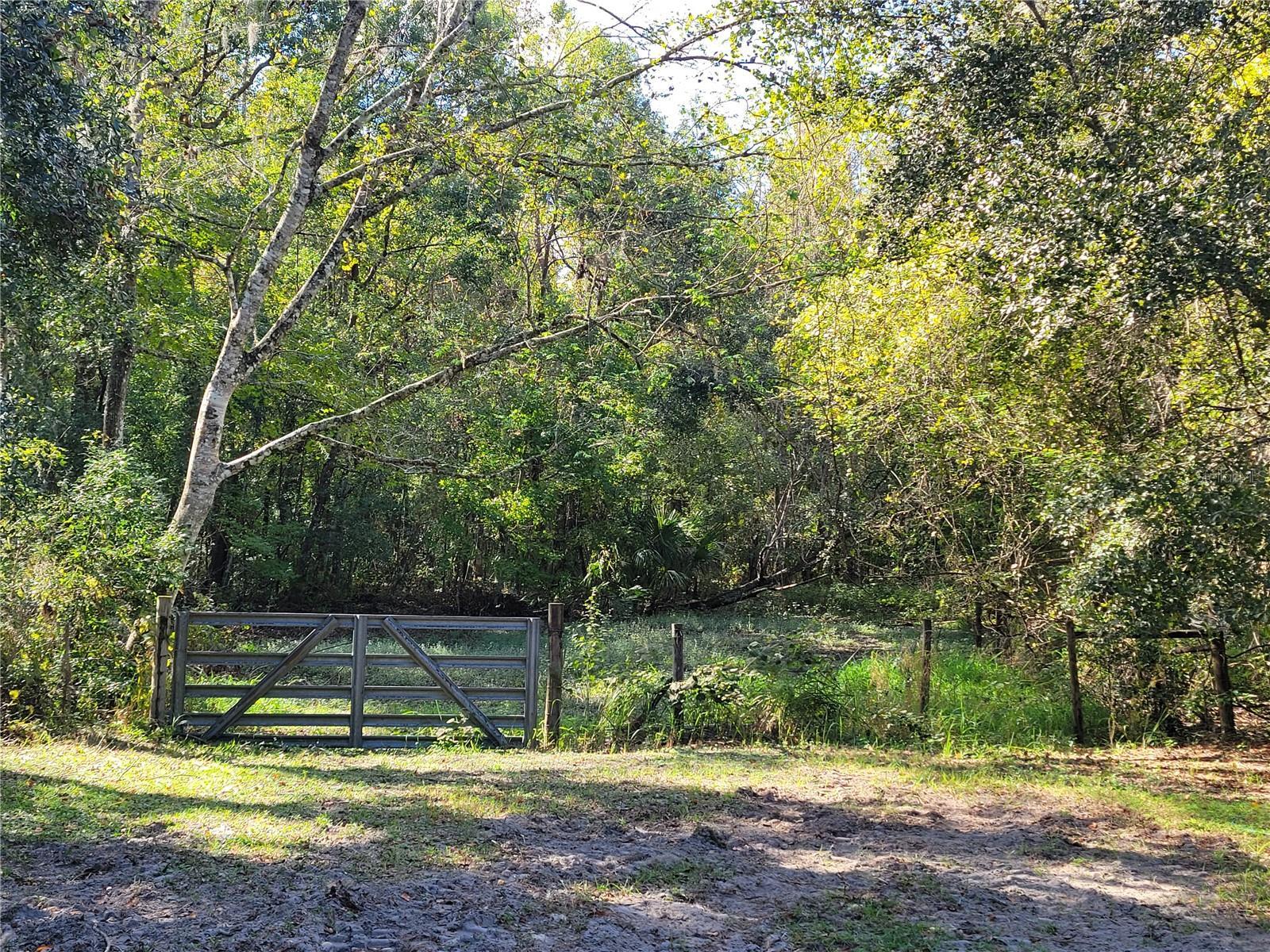 Photo #62