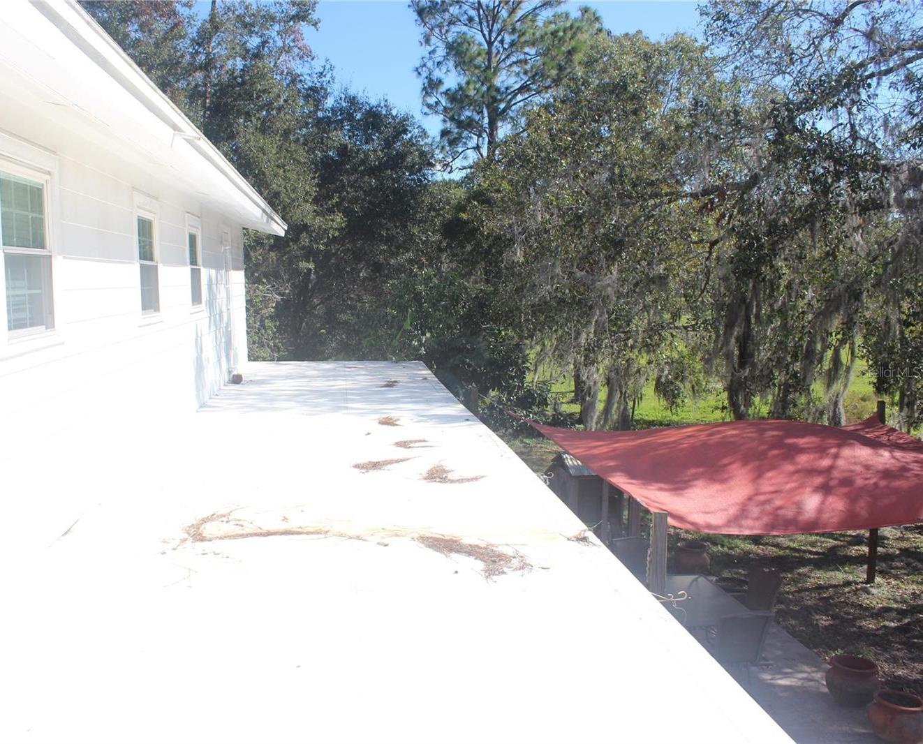 Photo #48